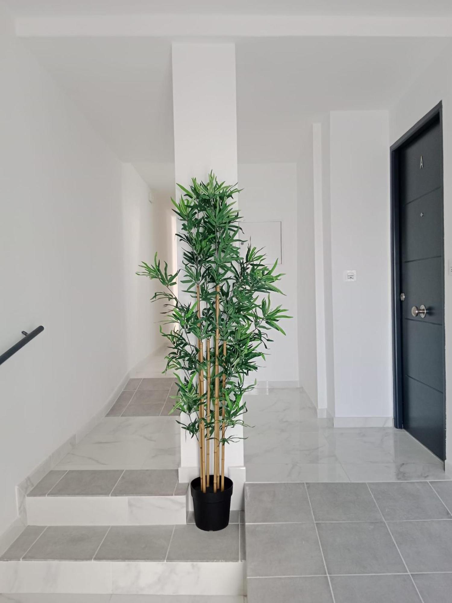 Apartamento Gloria Bendita Херес-де-ла-Фронтера Экстерьер фото